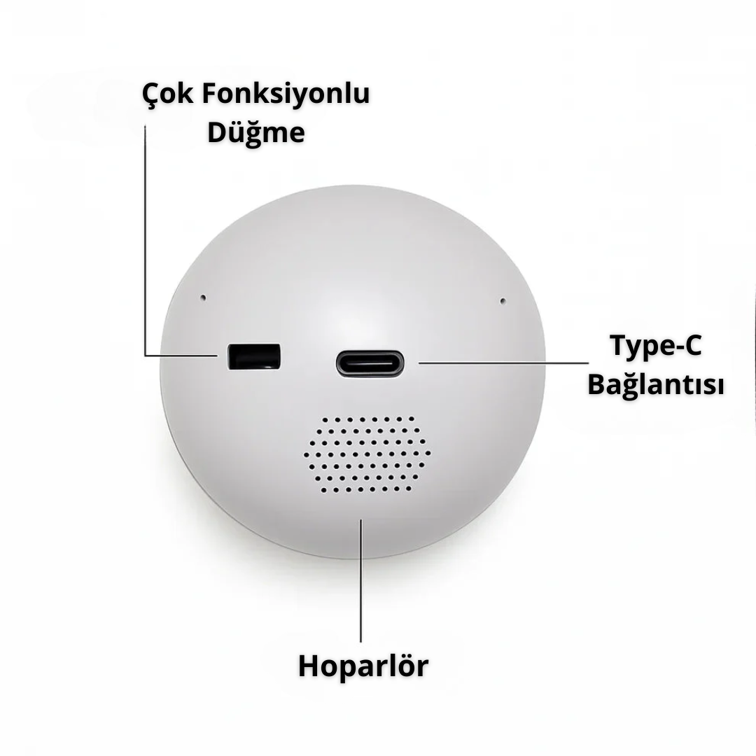 Anı Küresi